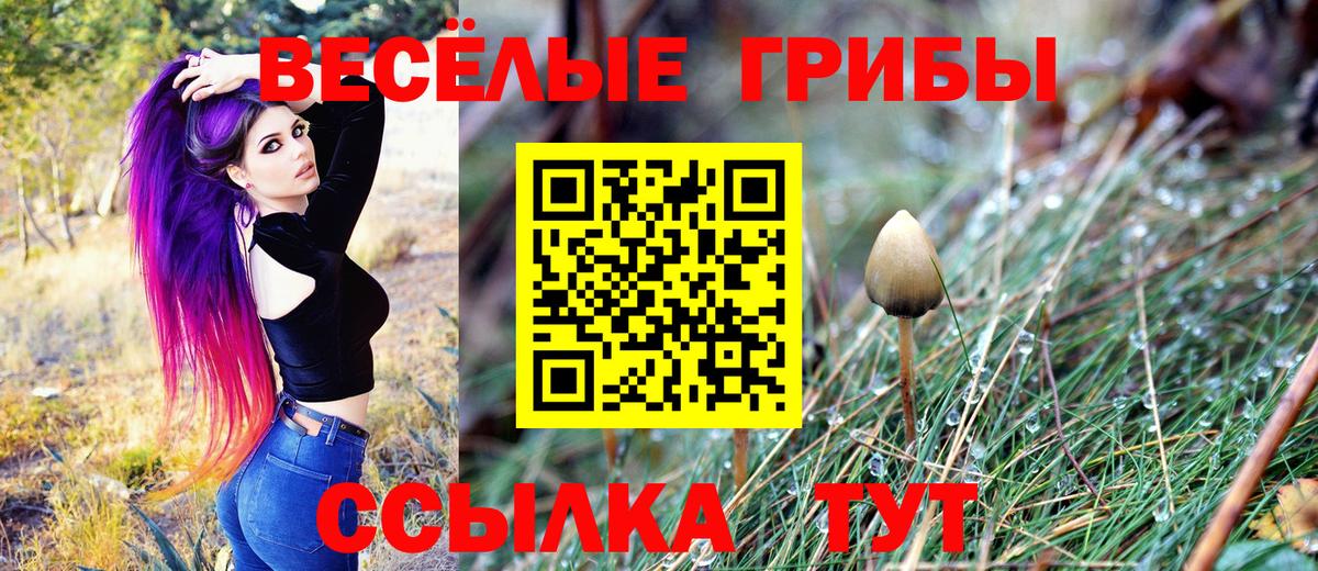 Псилоцибиновые грибы прущие грибы  Вход с VPN  Кстово 