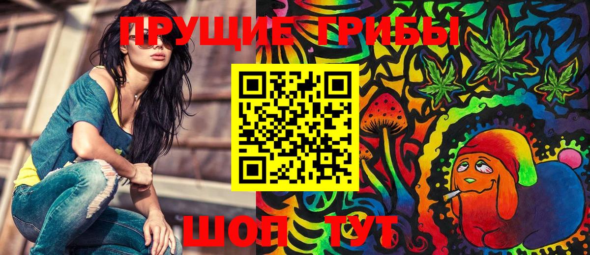 Галлюциногенные грибы Psilocybe Кстово